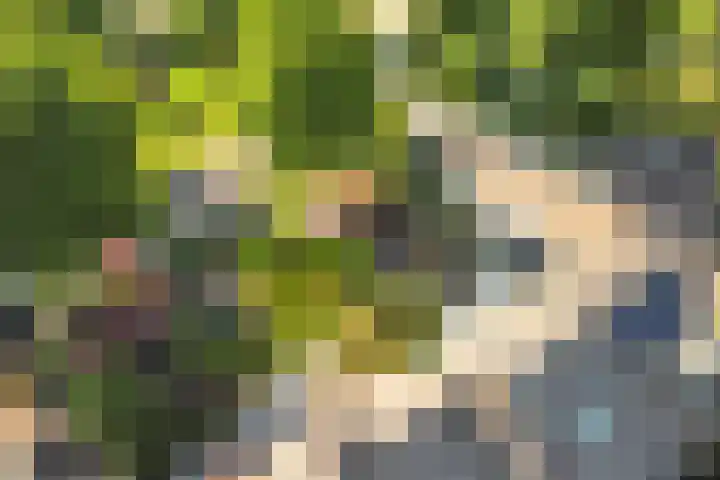Sperwerhof 141 Schagen thumbnail 21