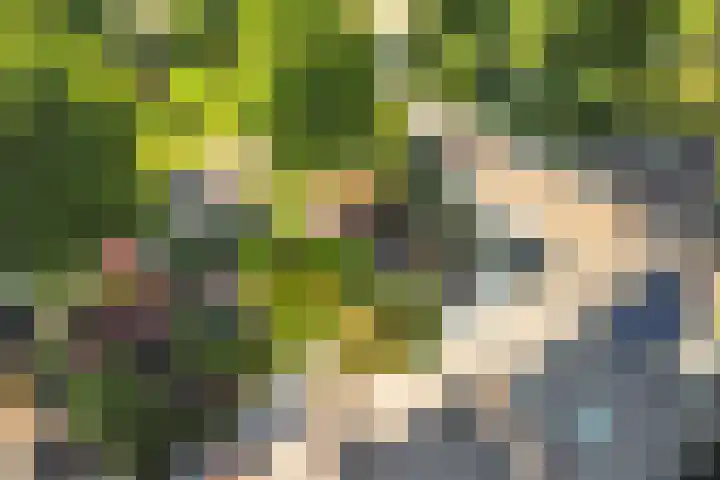 Sperwerhof 141 Schagen thumbnail 22