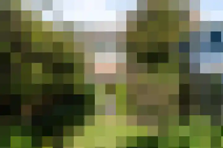 Sperwerhof 141 Schagen thumbnail 7