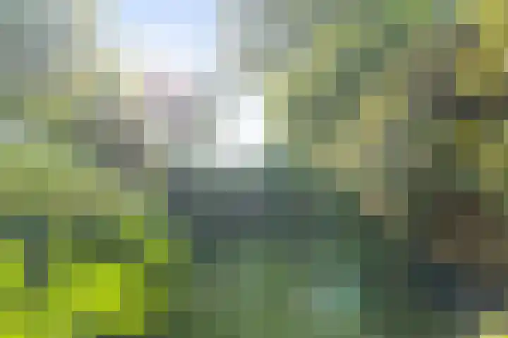 Sperwerhof 141 Schagen thumbnail 8