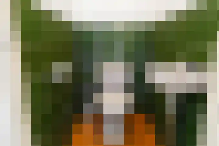 Sperwerhof 141 Schagen thumbnail 9