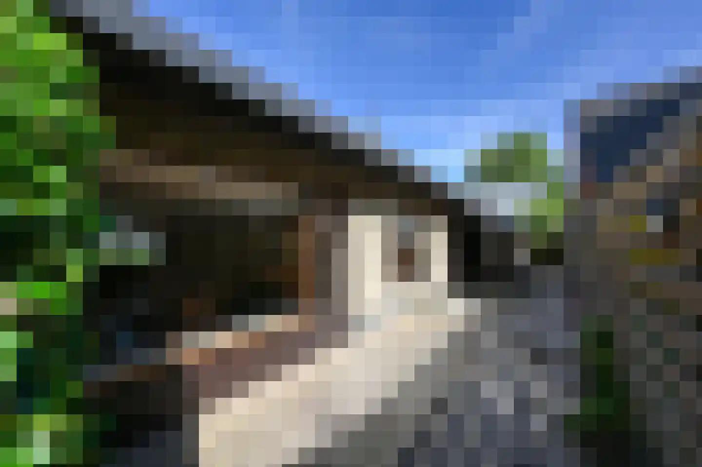 Sperwerhof 2 Ermelo thumbnail 21
