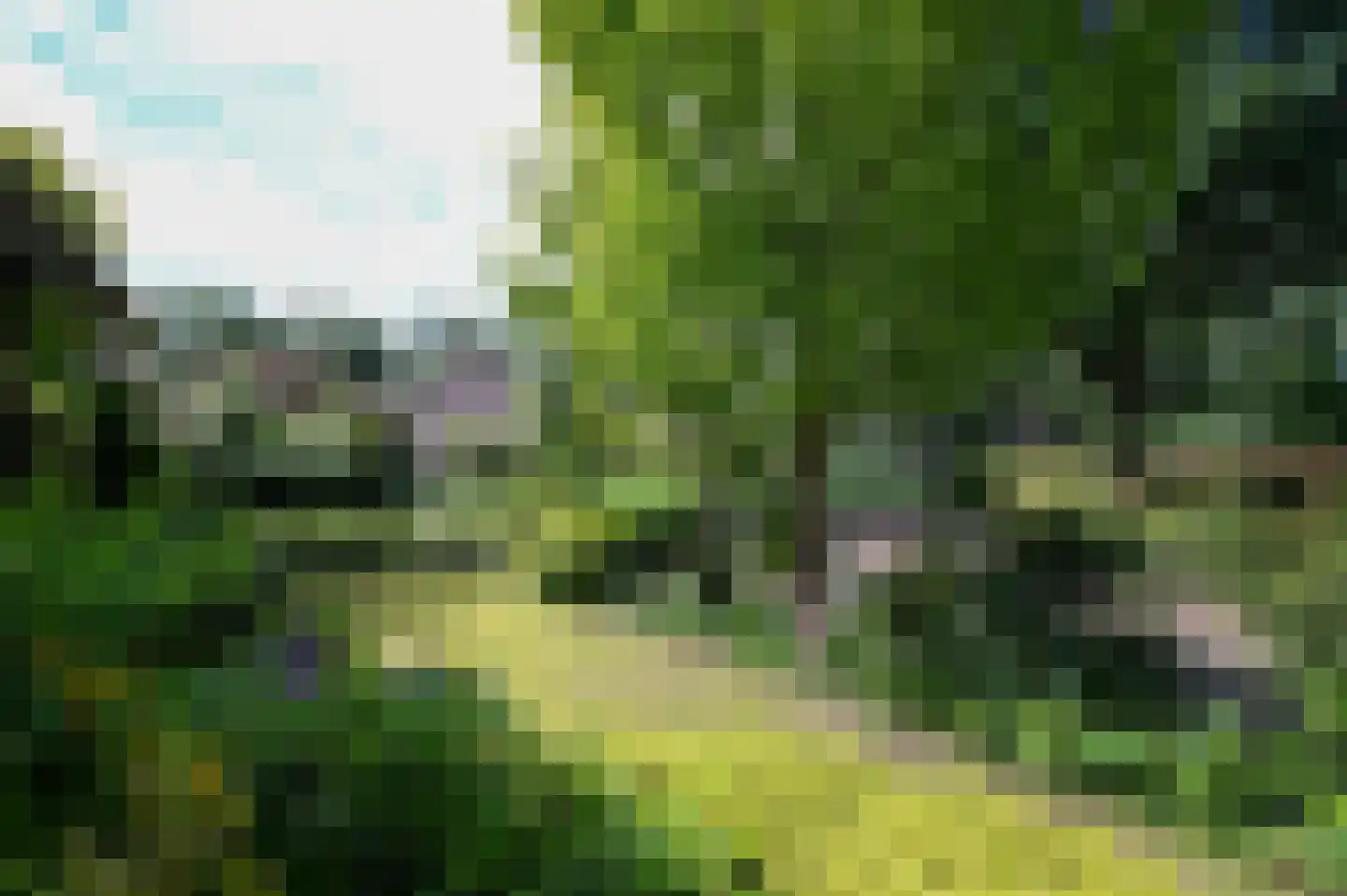 Sperwerhof 2 Ermelo thumbnail 23