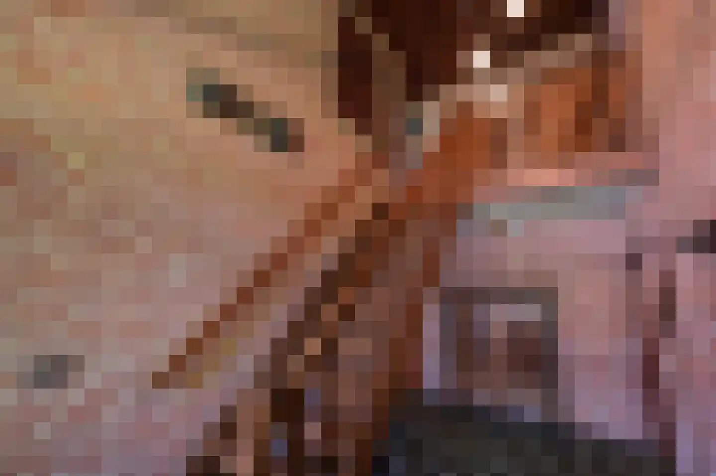 Sperwerhof 2 Ermelo thumbnail 4