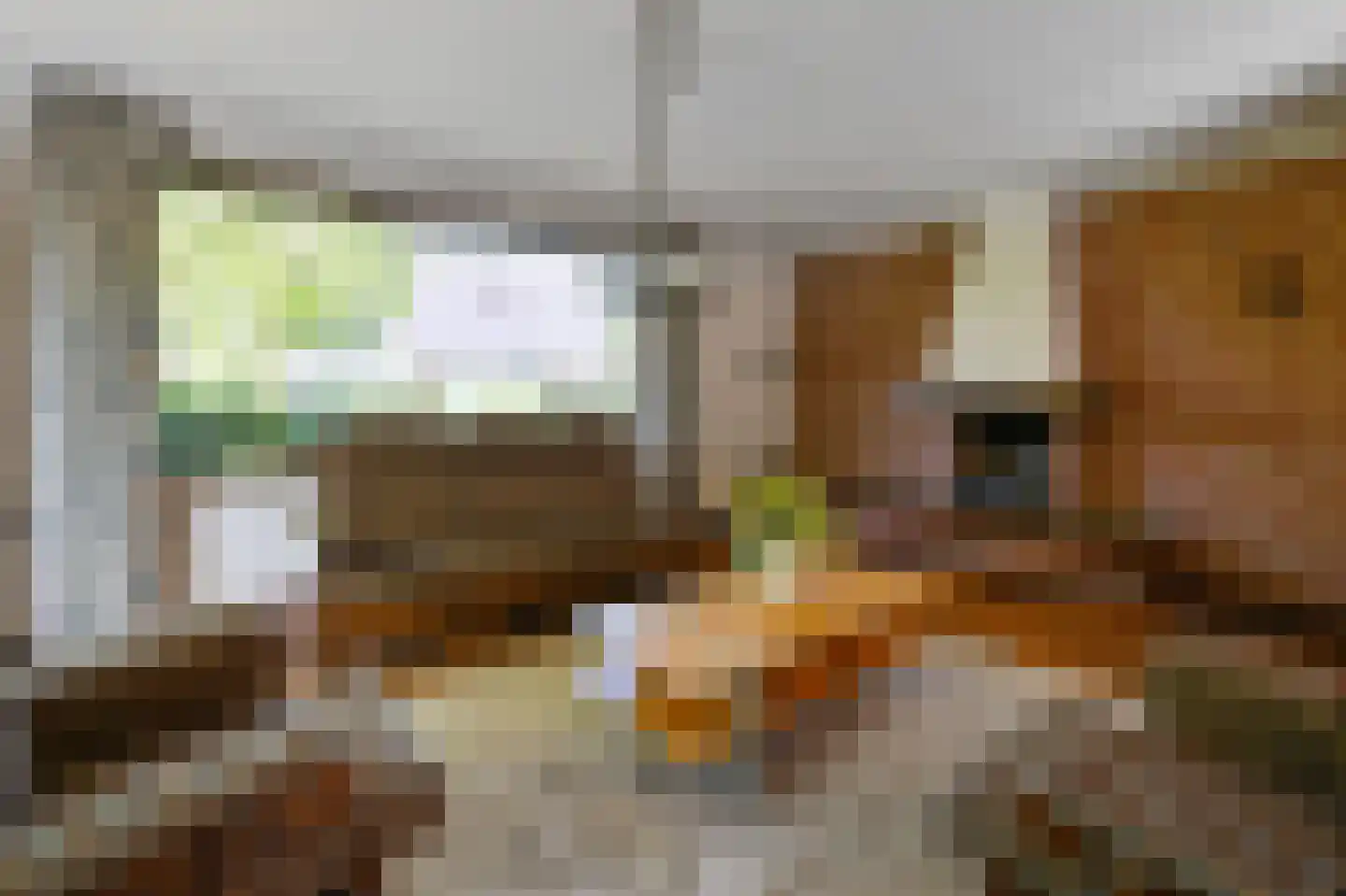 Sperwerhof 2 Ermelo thumbnail 6
