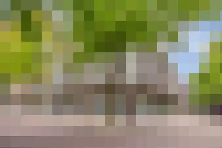 Sperwerhof 23 Schagen thumbnail 12