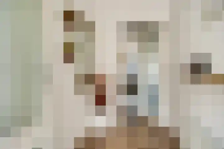 Sperwerhof 23 Schagen thumbnail 19