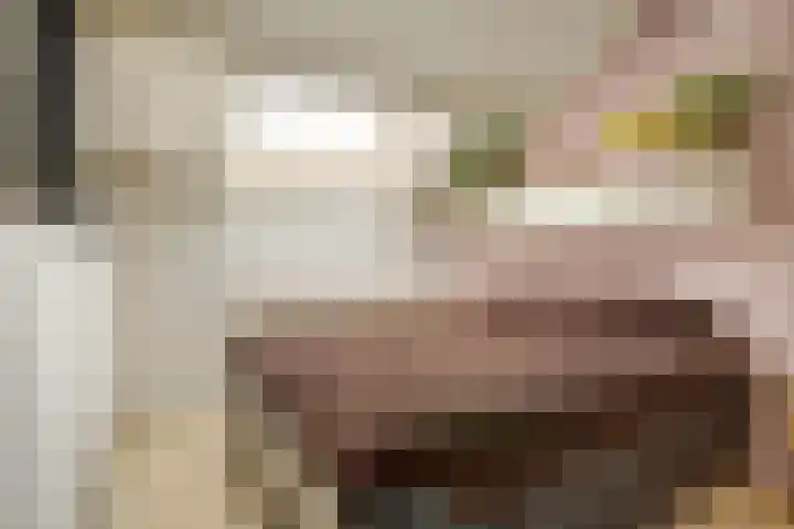 Sperwerhof 23 Schagen thumbnail 22