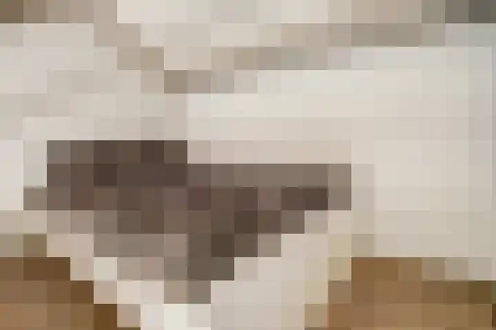 Sperwerhof 23 Schagen thumbnail 25