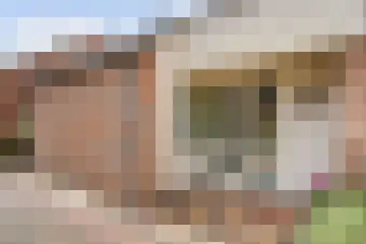 Sperwerhof 23 Schagen thumbnail 32