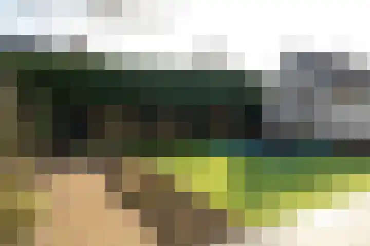 Sperwerhof 23 Schagen thumbnail 38