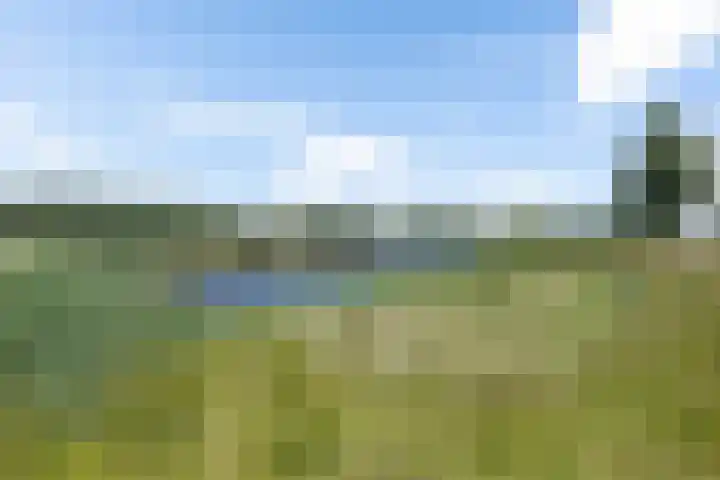 Sperwerhof 23 Schagen thumbnail 42