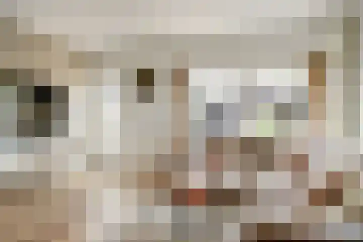 Sperwerhof 23 Schagen thumbnail 5