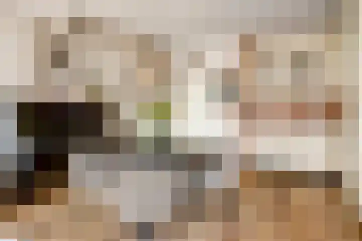 Sperwerhof 23 Schagen thumbnail 8