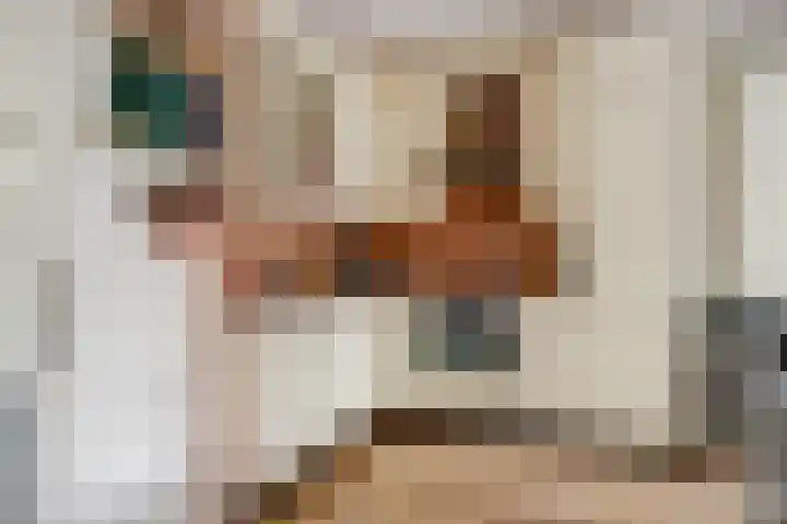 Sperwerhof 23 Schagen thumbnail 9