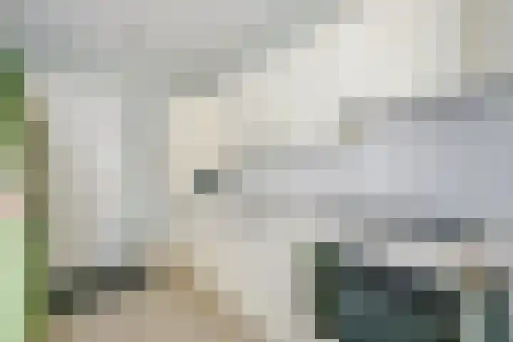 Sperwerhof 35 Schagen thumbnail 14