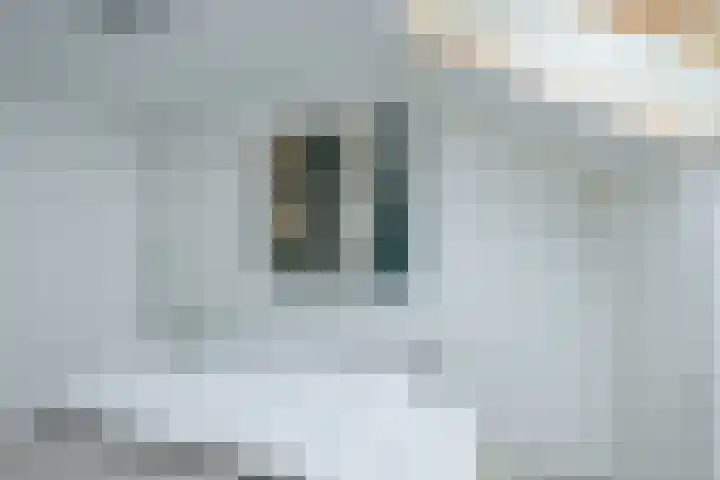 Sperwerhof 35 Schagen thumbnail 26