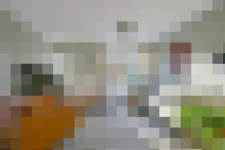Sperwerhof 35 Schagen thumbnail 5