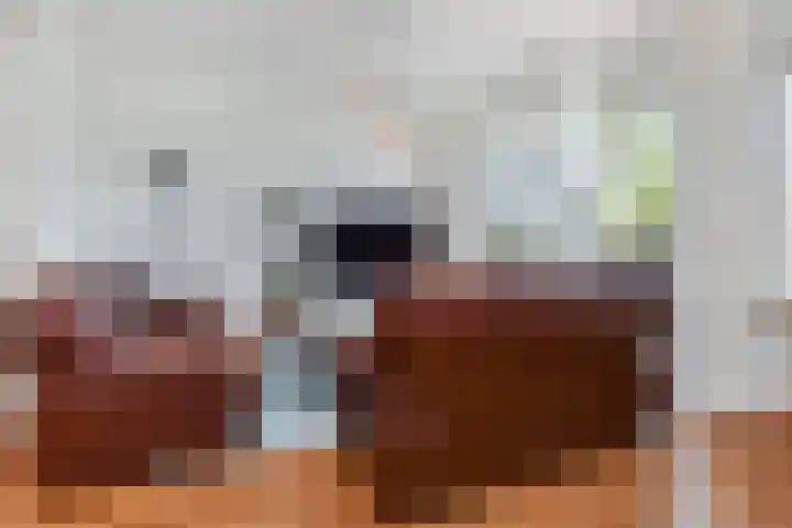 Sperwerhof 4 Berkel en Rodenrijs thumbnail 10