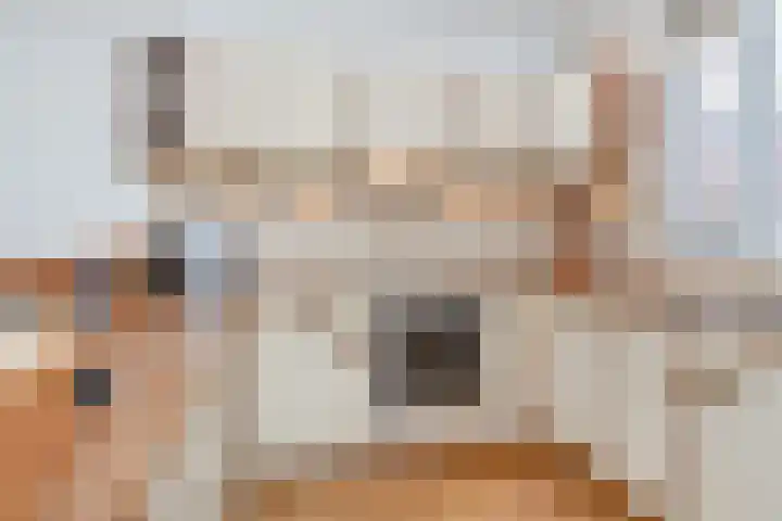 Sperwerhof 4 Berkel en Rodenrijs thumbnail 17