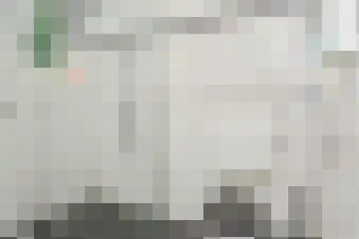 Sperwerhof 4 Berkel en Rodenrijs thumbnail 26
