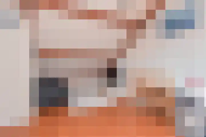 Sperwerhof 4 Berkel en Rodenrijs thumbnail 31