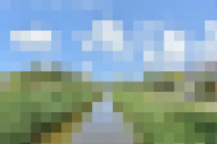 Sperwerhof 4 Berkel en Rodenrijs thumbnail 34