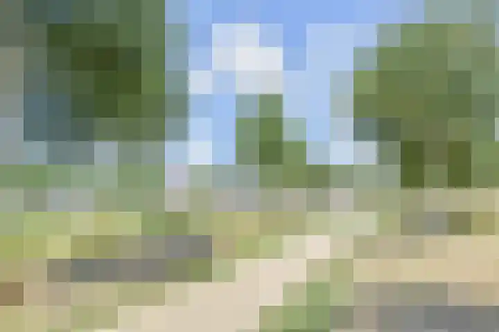 Sperwerhof 4 Berkel en Rodenrijs thumbnail 35
