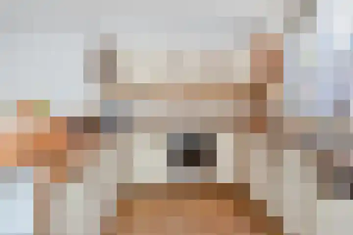 Sperwerhof 4 Berkel en Rodenrijs thumbnail 4