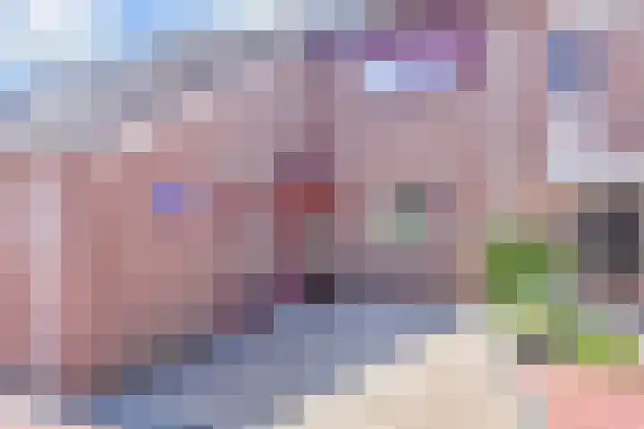Sperwerhof 4 Berkel en Rodenrijs thumbnail 5