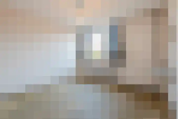 Sperwerhof 4 Nijkerk thumbnail 14