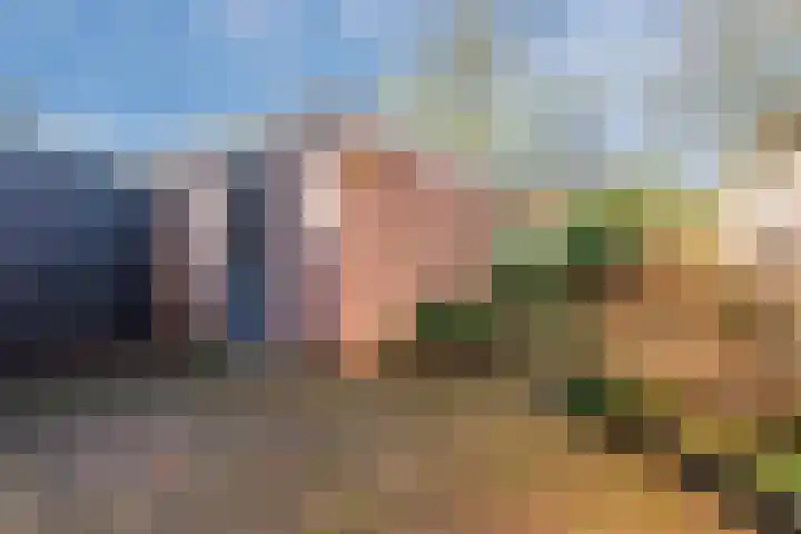 Sperwerhof 4 Nijkerk thumbnail 29