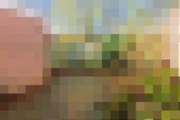 Sperwerhof 4 Nijkerk thumbnail 30