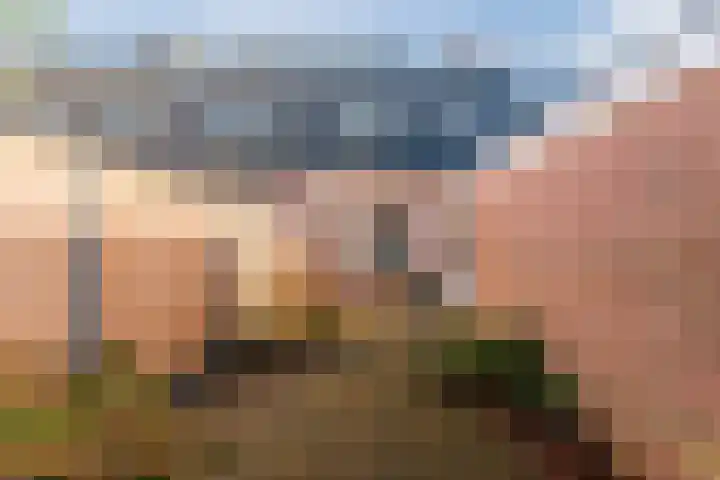 Sperwerhof 4 Nijkerk thumbnail 31