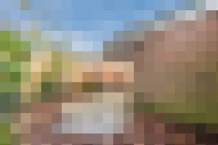 Sperwerhof 4 Nijkerk thumbnail 32