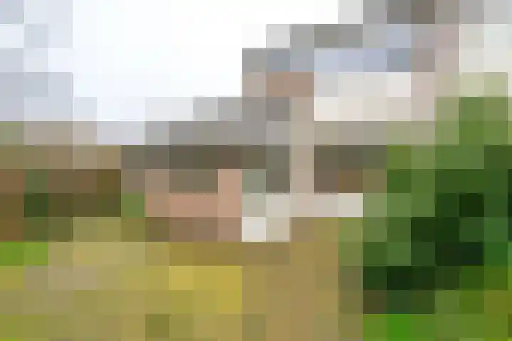 Sperwerhof 41 Schagen thumbnail 12