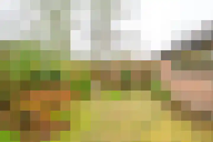 Sperwerhof 41 Schagen thumbnail 13