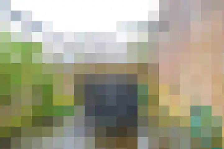 Sperwerhof 41 Schagen thumbnail 15