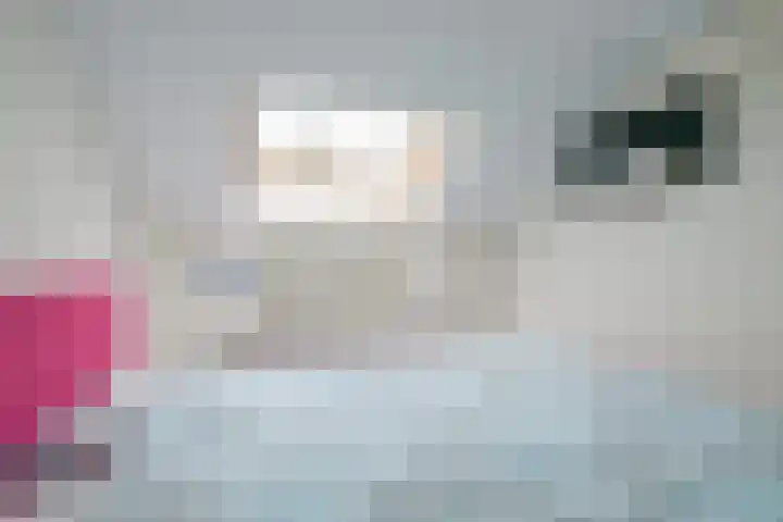 Sperwerhof 41 Schagen thumbnail 18