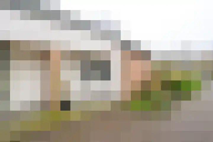 Sperwerhof 41 Schagen thumbnail 33