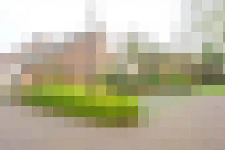 Sperwerhof 41 Schagen thumbnail 35
