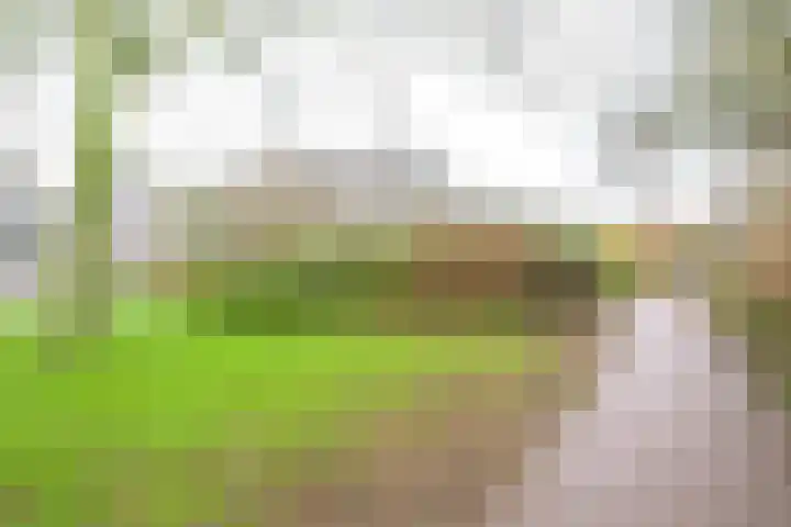 Sperwerhof 41 Schagen thumbnail 37