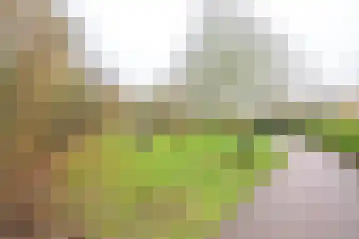 Sperwerhof 41 Schagen thumbnail 38