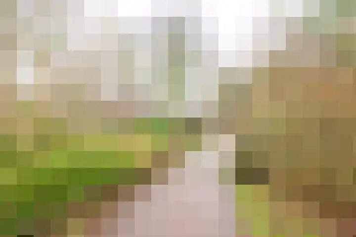 Sperwerhof 41 Schagen thumbnail 39