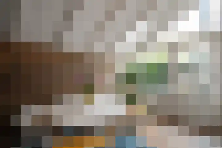 Sperwerhof 45 Schagen thumbnail 16