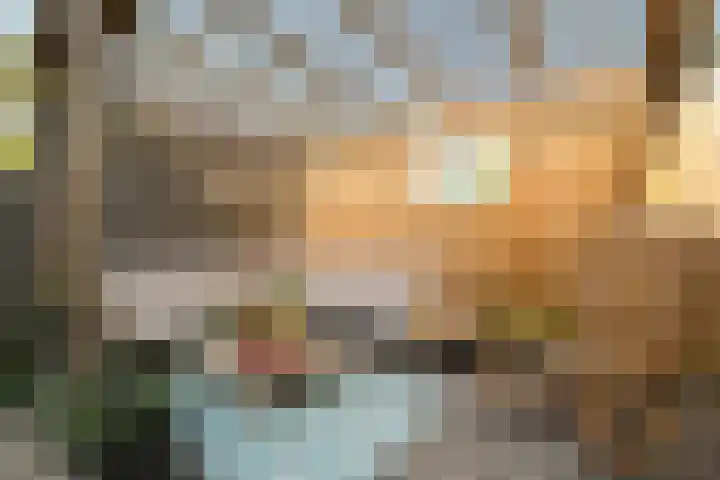 Sperwerhof 45 Schagen thumbnail 17