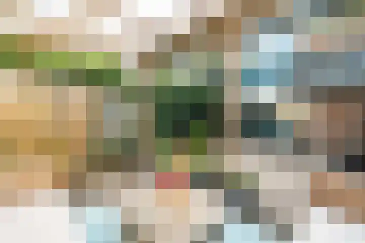 Sperwerhof 45 Schagen thumbnail 20