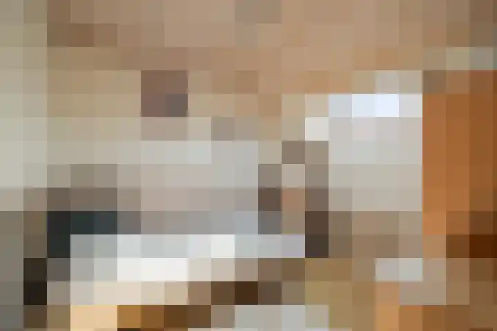 Sperwerhof 45 Schagen thumbnail 25