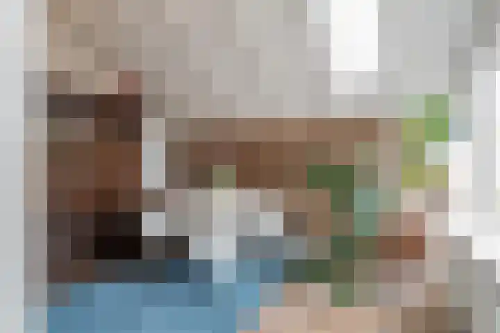 Sperwerhof 45 Schagen foto 3