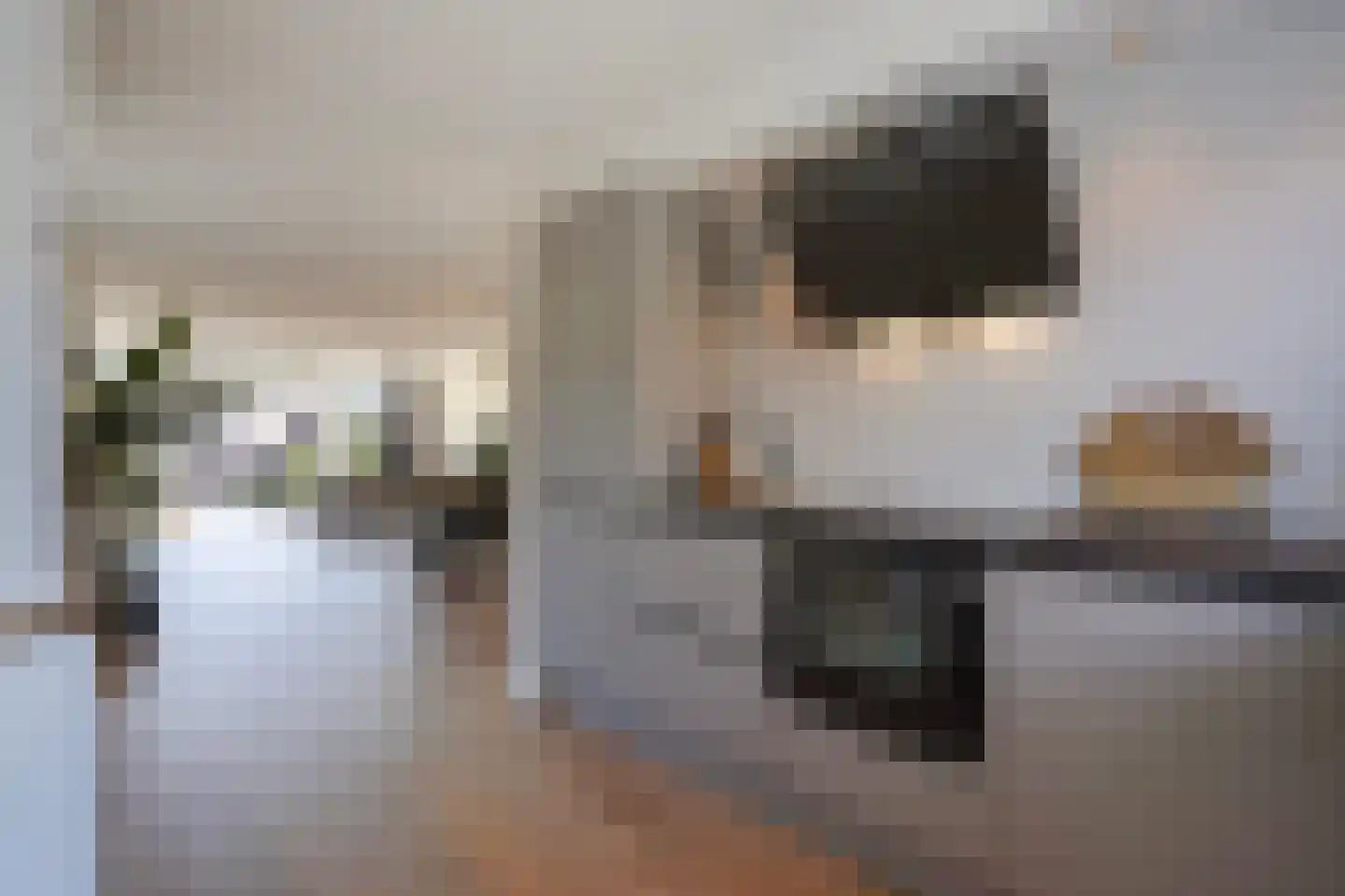 Sperwerhorst 12 Honselersdijk thumbnail 10
